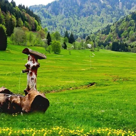 Nyaraló With 1 Bedroom Menzenschwand-Hinterdorf