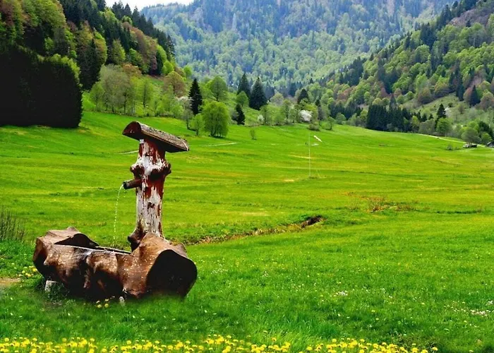 Nyaraló With 1 Bedroom Menzenschwand-Hinterdorf